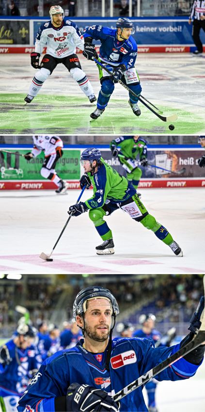 tigers_3_bild_untereinander.jpg